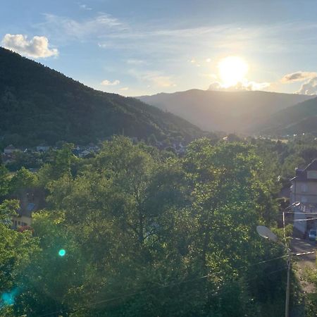 Au Reposoir - Vue Sur La Montagne Apartment Buhl Bagian luar foto
